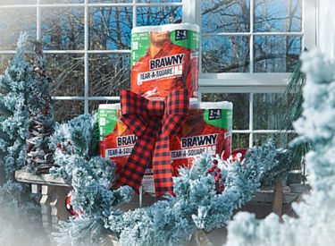 Brawny paper towel 